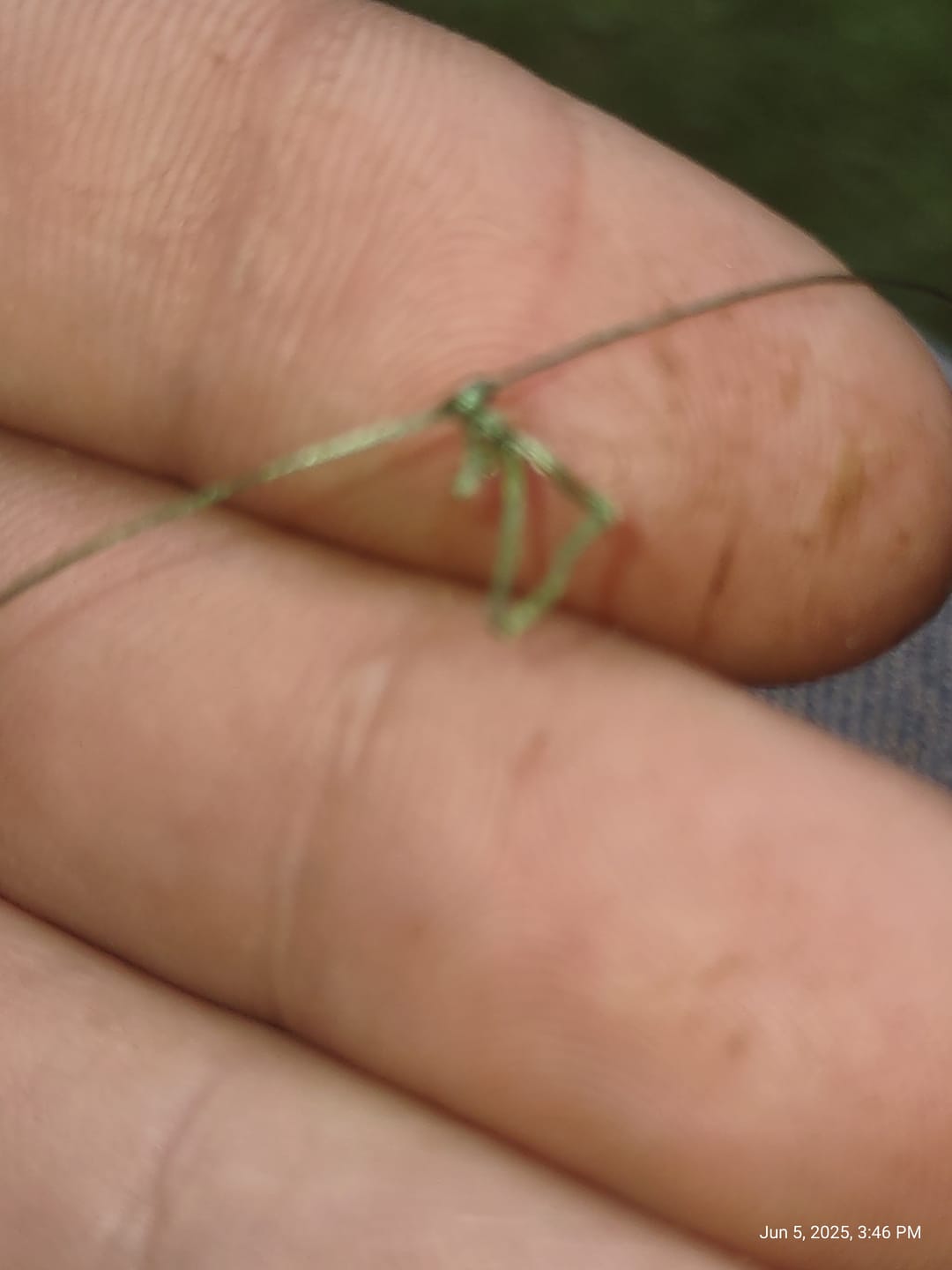 Customer photo review of Green 8X- Ultra Performance 8 Strand