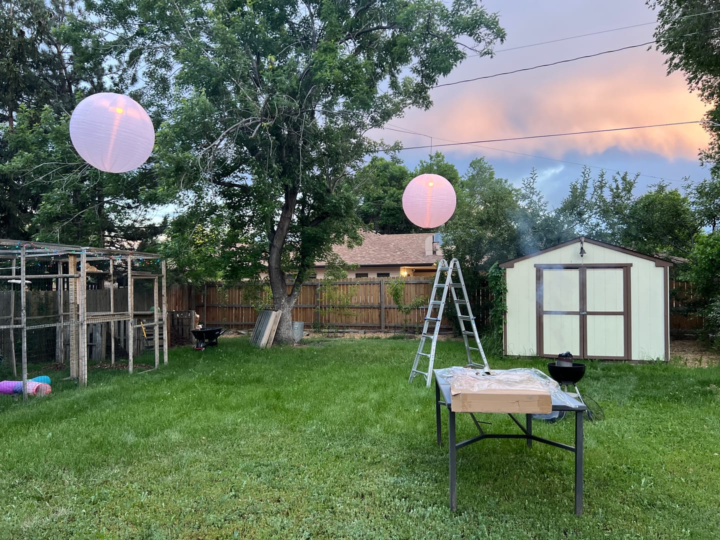 Customer photo review of 36" White Jumbo Shimmering Nylon Lanterns, Even Ribbing, Durable (Value Packs)