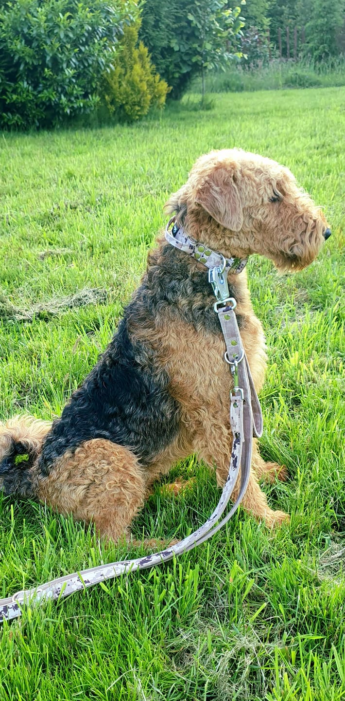 Customer photo review of Smycz przepinana z dodatkową raczką - Multi Guard Leash Camo Beige