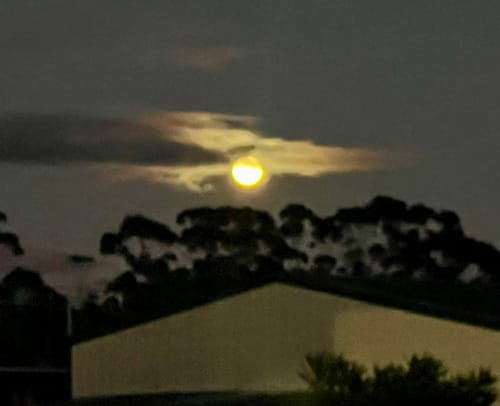 Customer photo review of Digital Photo Frame