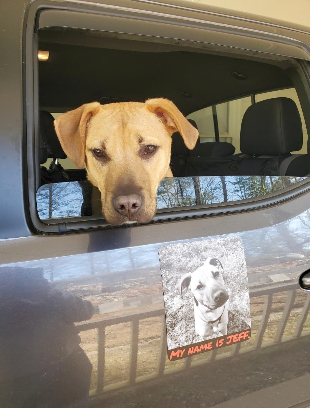 Customer photo review of Custom - Car Magnet Sign