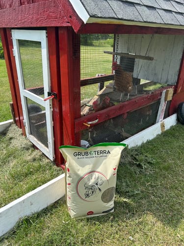 Customer photo review of GrubTerra Dried Larvae Sample