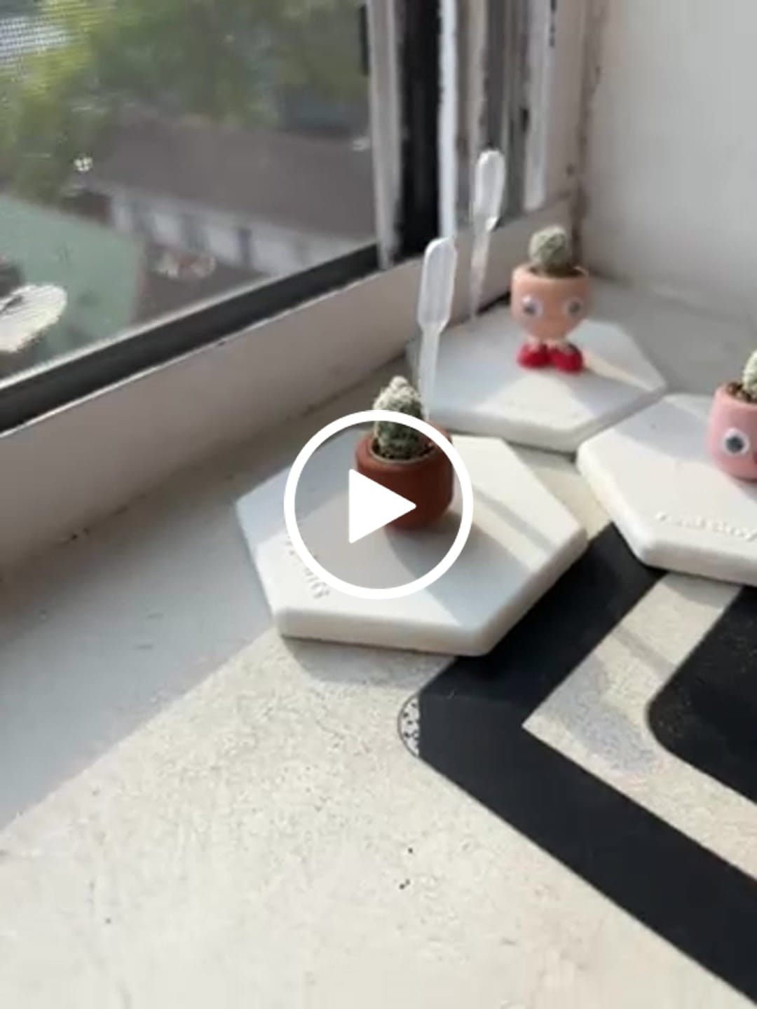 Customer video review of Thimble Cactus