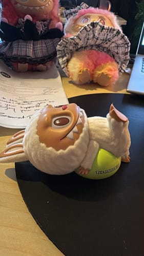 Customer photo review of Pop Mart Labubu The Monsters Lazy Yoga Series Single Blind Box