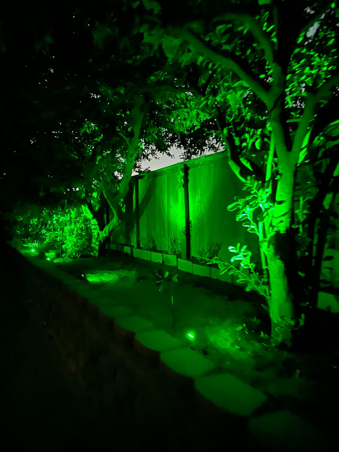 Customer photo review of TSUN RGB LED Outdoor Solar Spotlight 4lamps