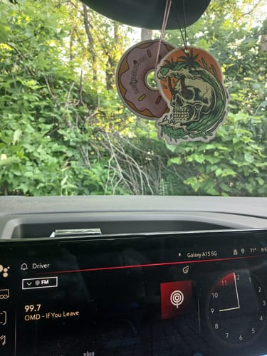 Customer photo review of Vanilla Sprinkle Air Freshener