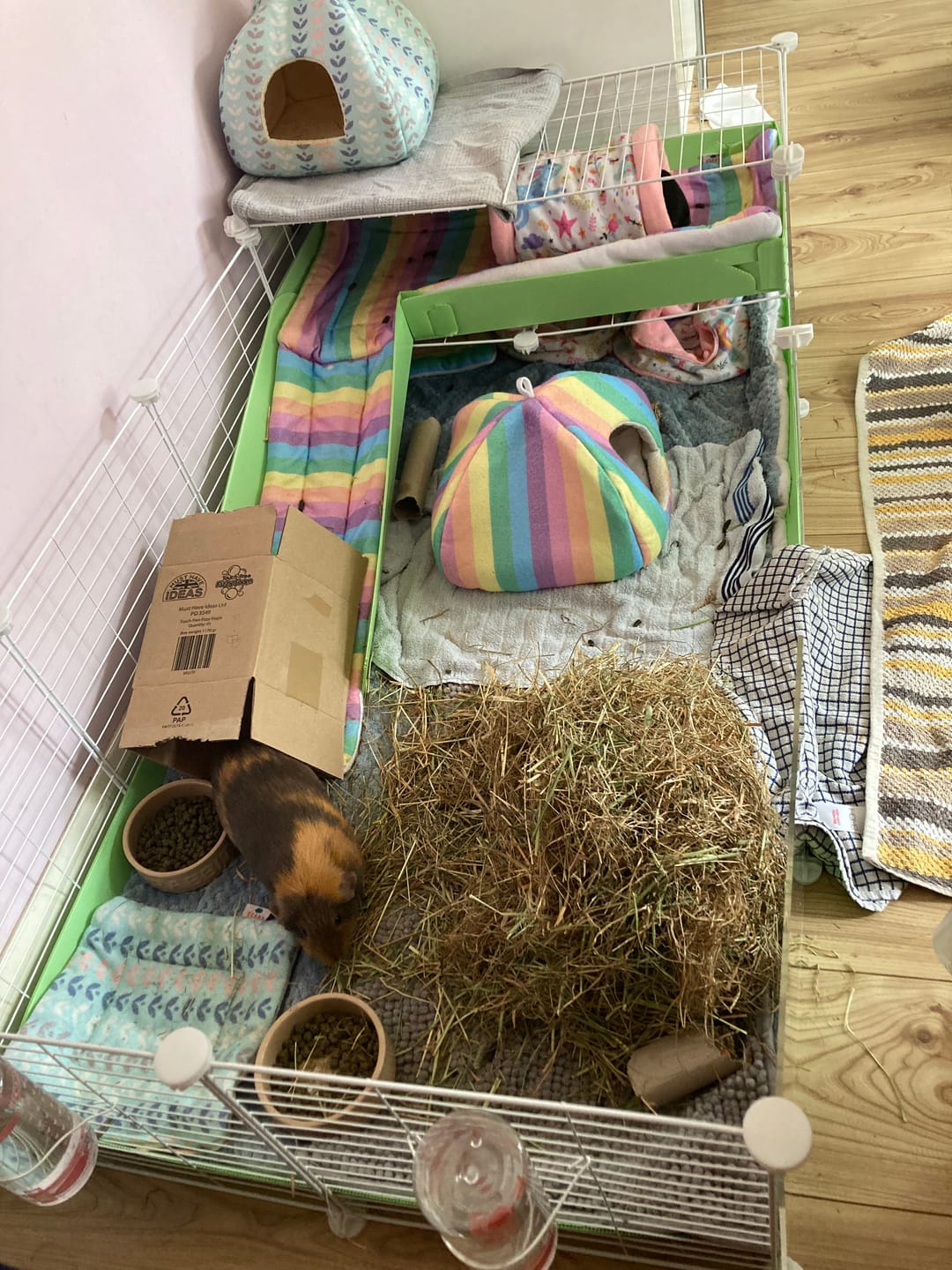 Customer photo review of Homely Fleece Hidey | Rainbow
