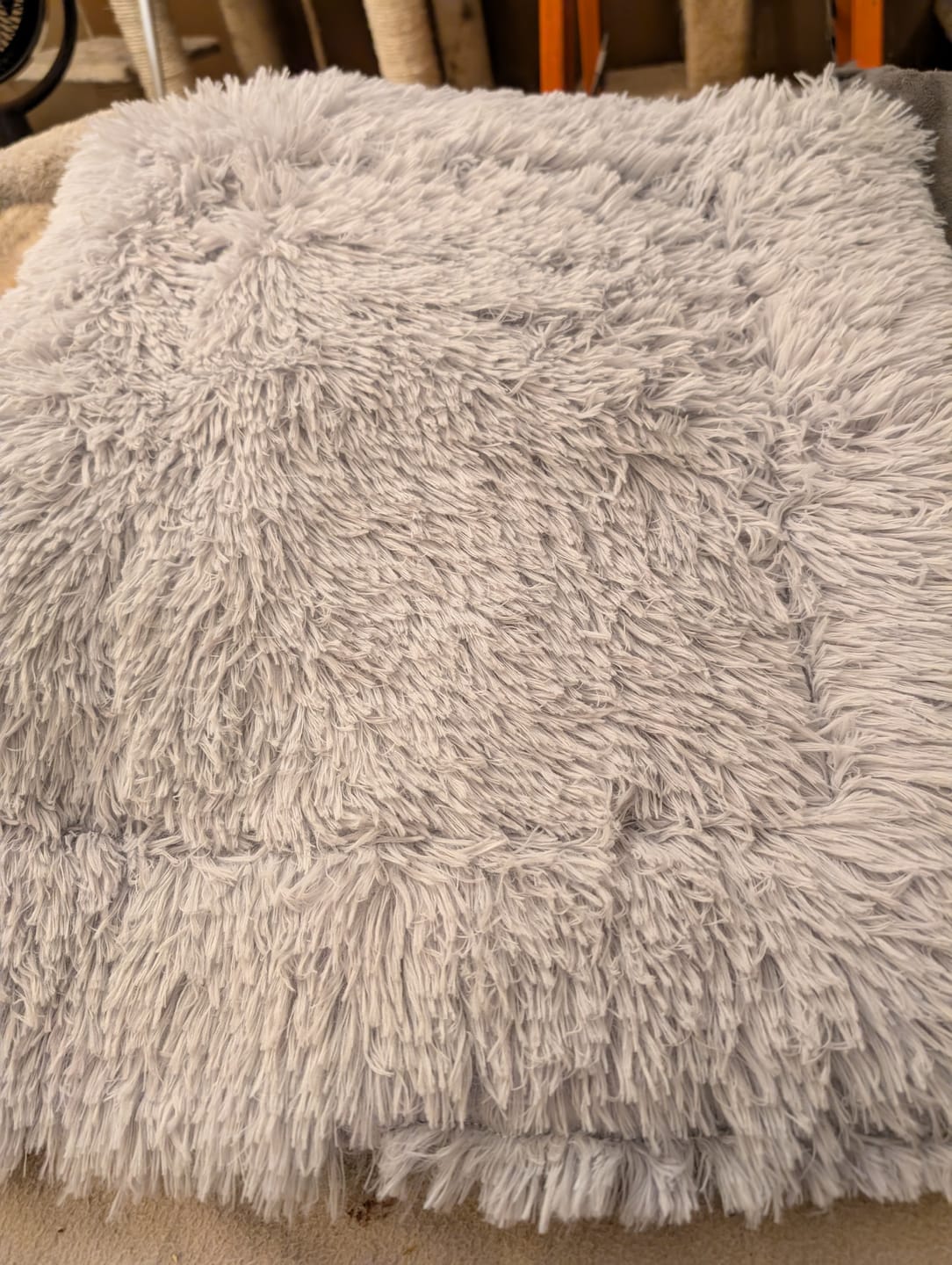 Customer photo review of 2-in-1 Soothing Cat Bed