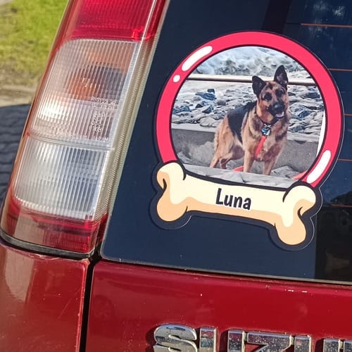 Customer photo review of Pets on board - Personalized Car Sticker
