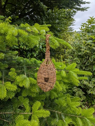 Customer photo review of The Bird Box Kit