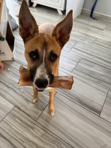 Customer photo review of Smoked Beef Marrow Bone