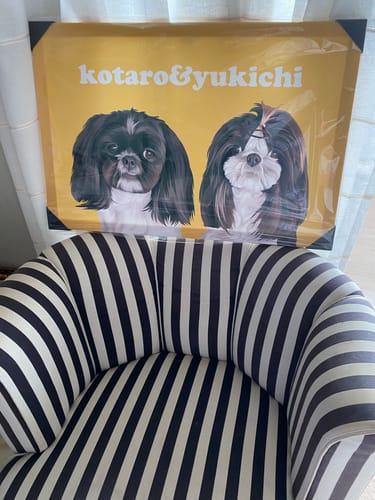 Customer photo review of Petcanva©オーダーメイド ペット似顔絵
