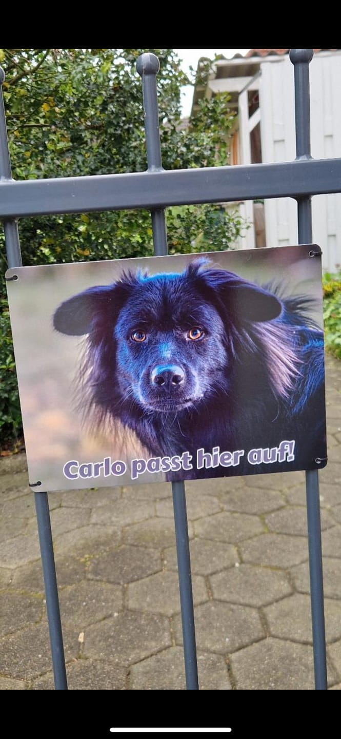 Customer photo review of Hunde-Türschild personalisiert mit Foto & Text (UV- und wetterfest)