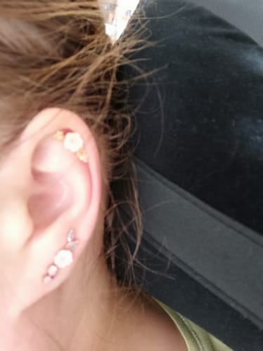 Customer photo review of Boucles d'oreilles grimpantes Alexia