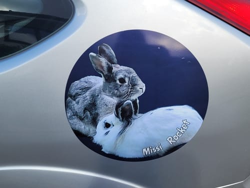 Customer photo review of Pets on board - Personalized Car Sticker