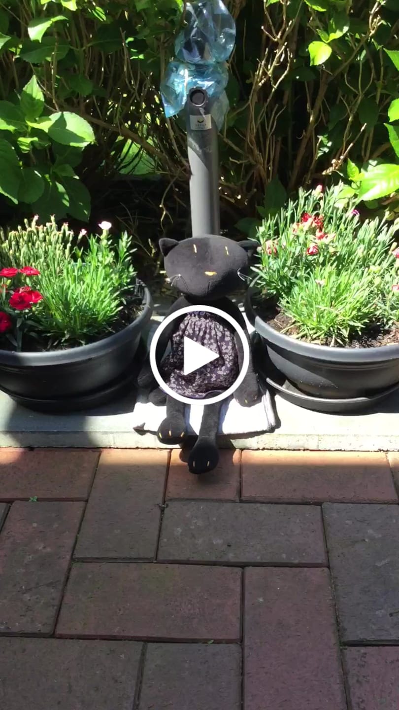 Customer video review of GISEL LA CHATTE - L