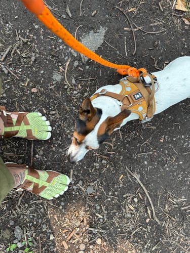 Customer photo review of Breezandal Mens Olive Green/Brown/Ivory