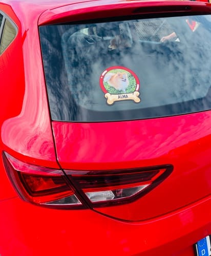 Customer photo review of Pets on board - Personalized Car Sticker