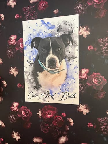 Kerry T. review of Your Pet as Watercolor Portrait image 1 out of 1