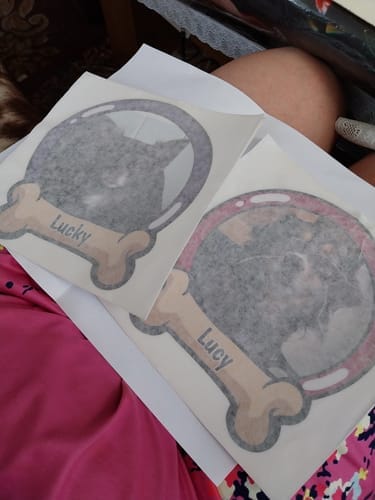 Customer photo review of Pets on board - Personalized Car Sticker