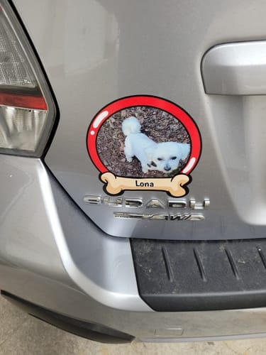 Customer photo review of Pets on board - Personalized Car Sticker