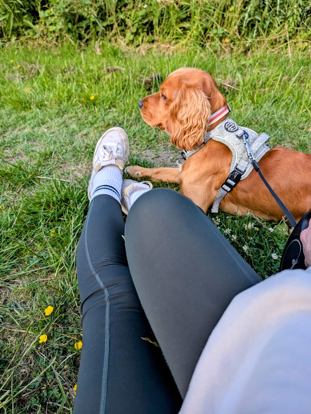 Customer photo review of Walkies Ready® Leggings - Emerald