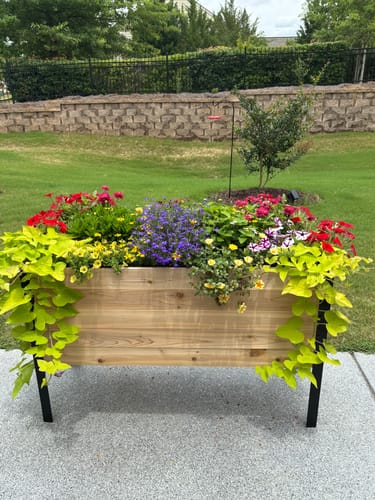 Customer photo review of 18" x 48" Raised Garden Bed - 30" TALL