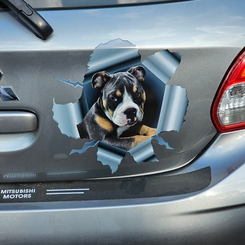 Customer photo review of Peeking photo – Personalized Car Sticker