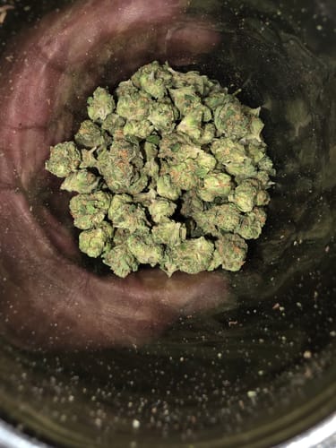 Customer photo review of Blue Dream - 28 Grams Littles - Sativa