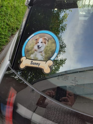 Customer photo review of Pets on board - Personalized Car Sticker
