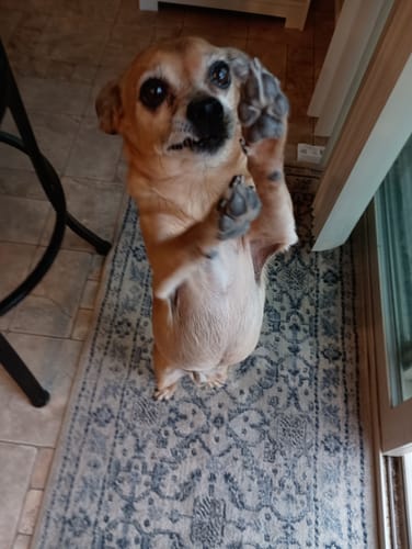 Customer photo review of Pain Relief