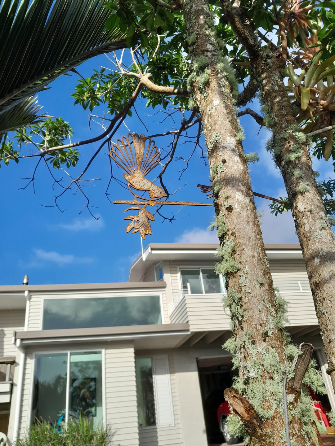 Customer photo review of Pīwakawaka / Fantail