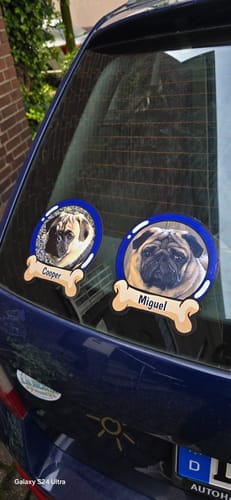 Customer photo review of Pets on board - Personalized Car Sticker