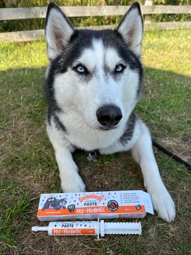 Customer photo review of Bugalugs Pre & Probiotic Digestive Paste for Dogs & Cats (30ml)
