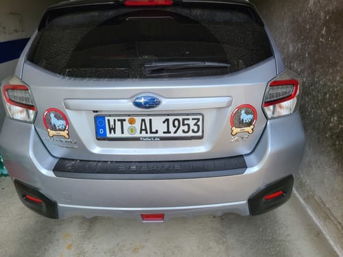 Customer photo review of Pets on board - Personalized Car Sticker