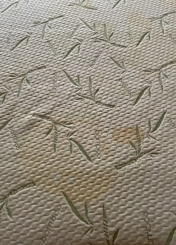 Customer photo review of NuvoDreams™ Waterproof Bamboo Mattress Protector