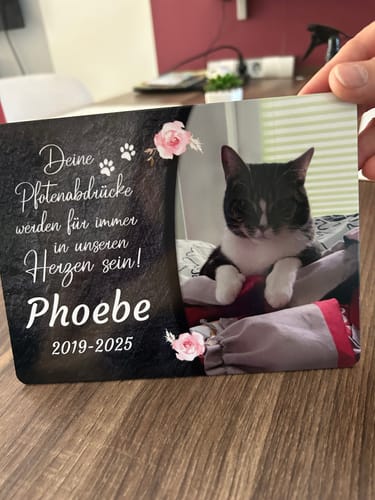 Customer photo review of Katzen Gedenktafel mit Foto & Spruch (UV- & Wetterfest)