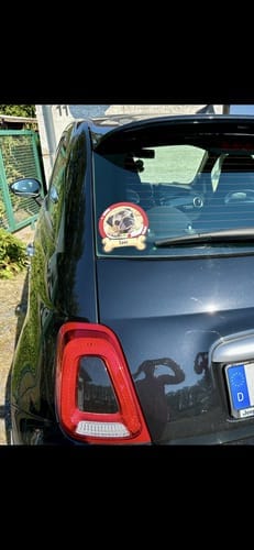 Customer photo review of Pets on board - Personalized Car Sticker