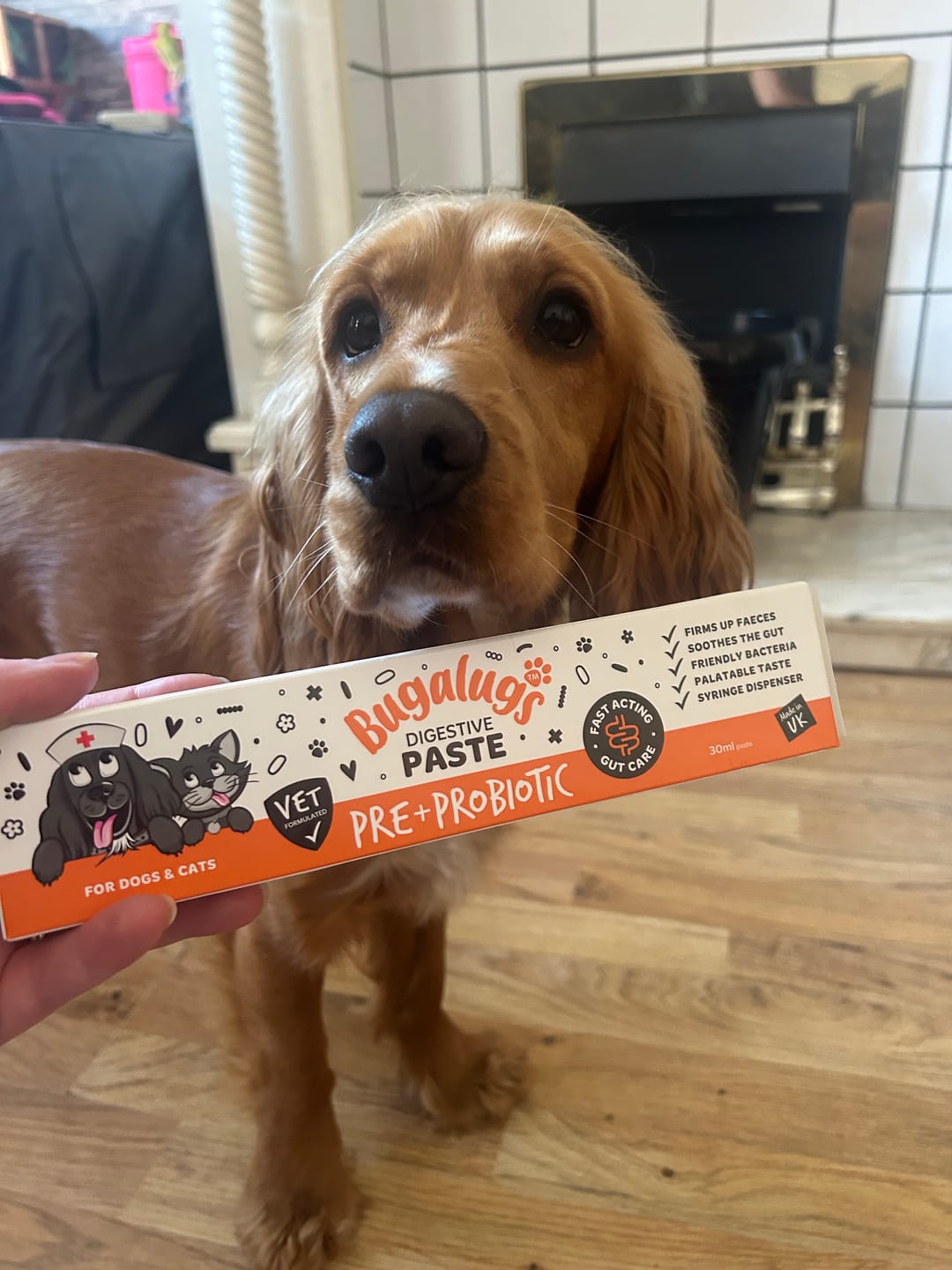 Customer photo review of Bugalugs Pre & Probiotic Digestive Paste for Dogs & Cats (30ml)