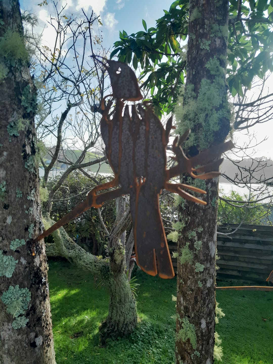 Customer photo review of Tūī
