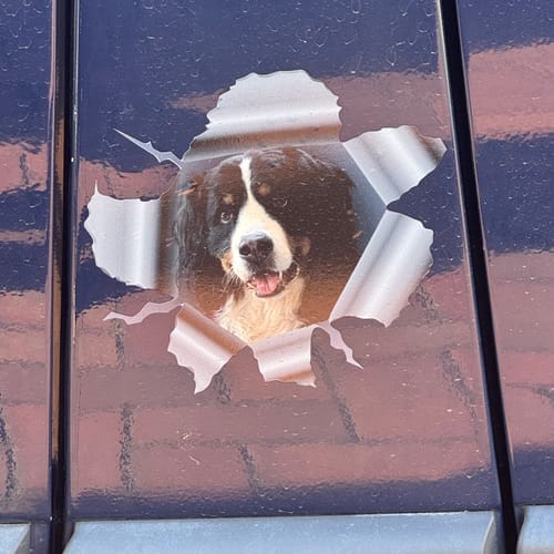 Customer photo review of Peeking photo – Personalized Car Sticker
