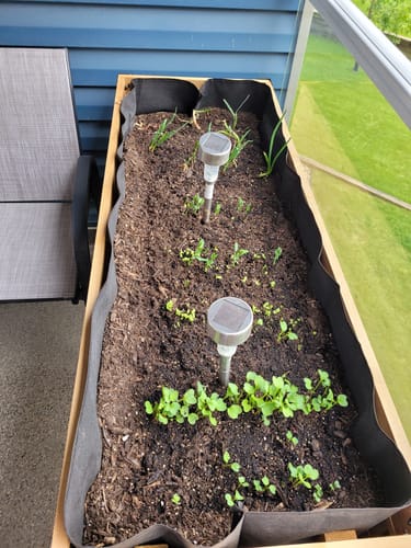 Customer photo review of 18" x 48" Raised Garden Bed - 30" TALL