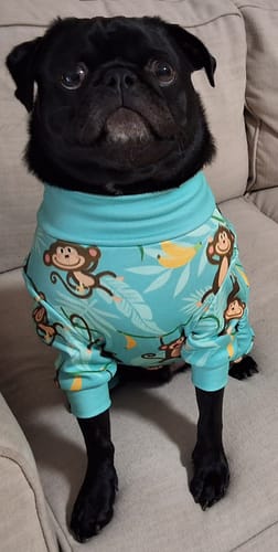 Customer photo review of Dog Pajama - Monkey Business