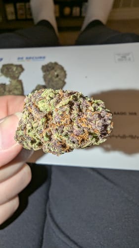 Customer photo review of Granddaddy Purple - 14 Grams (Indica)