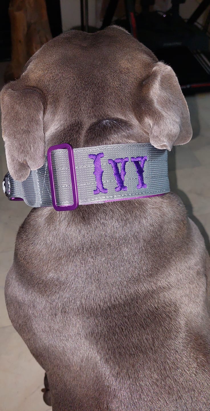 Customer photo review of 5cm Lighter Combat® Collar | With Handle Secure Clip - Purple x Metal Grey