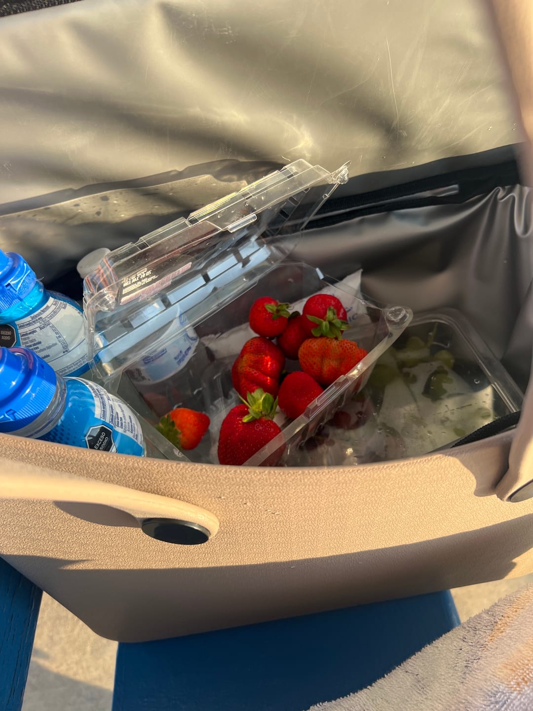 Customer photo review of Versa Tote Cooler Liner