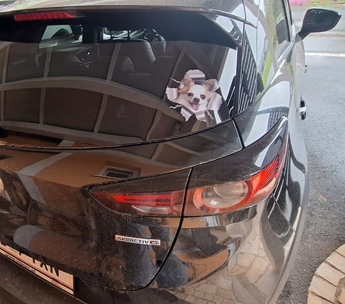 Customer photo review of Peeking photo – Personalized Car Sticker