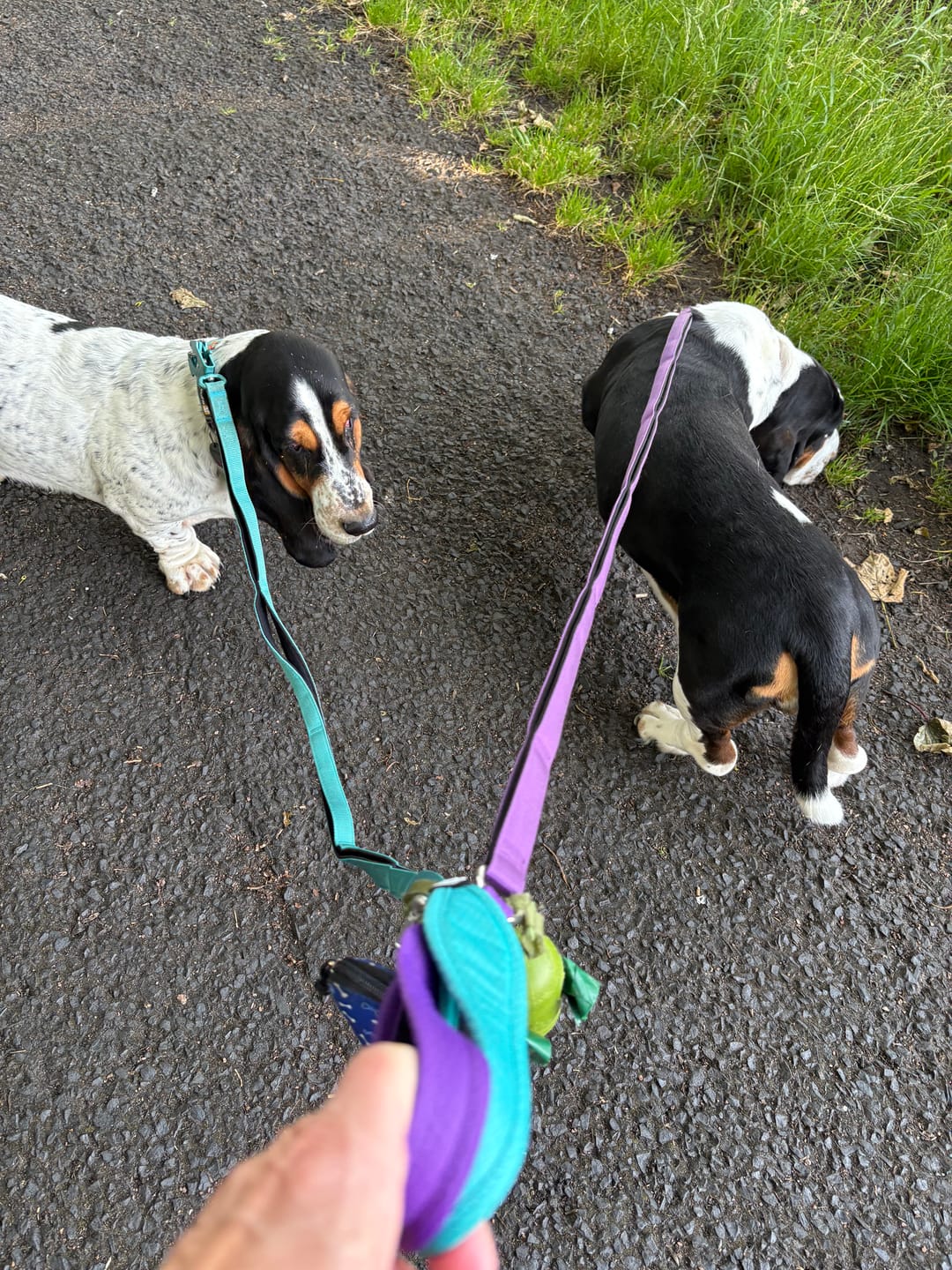 Customer photo review of Ladder Combat® Multiple Handles Lead - Teal