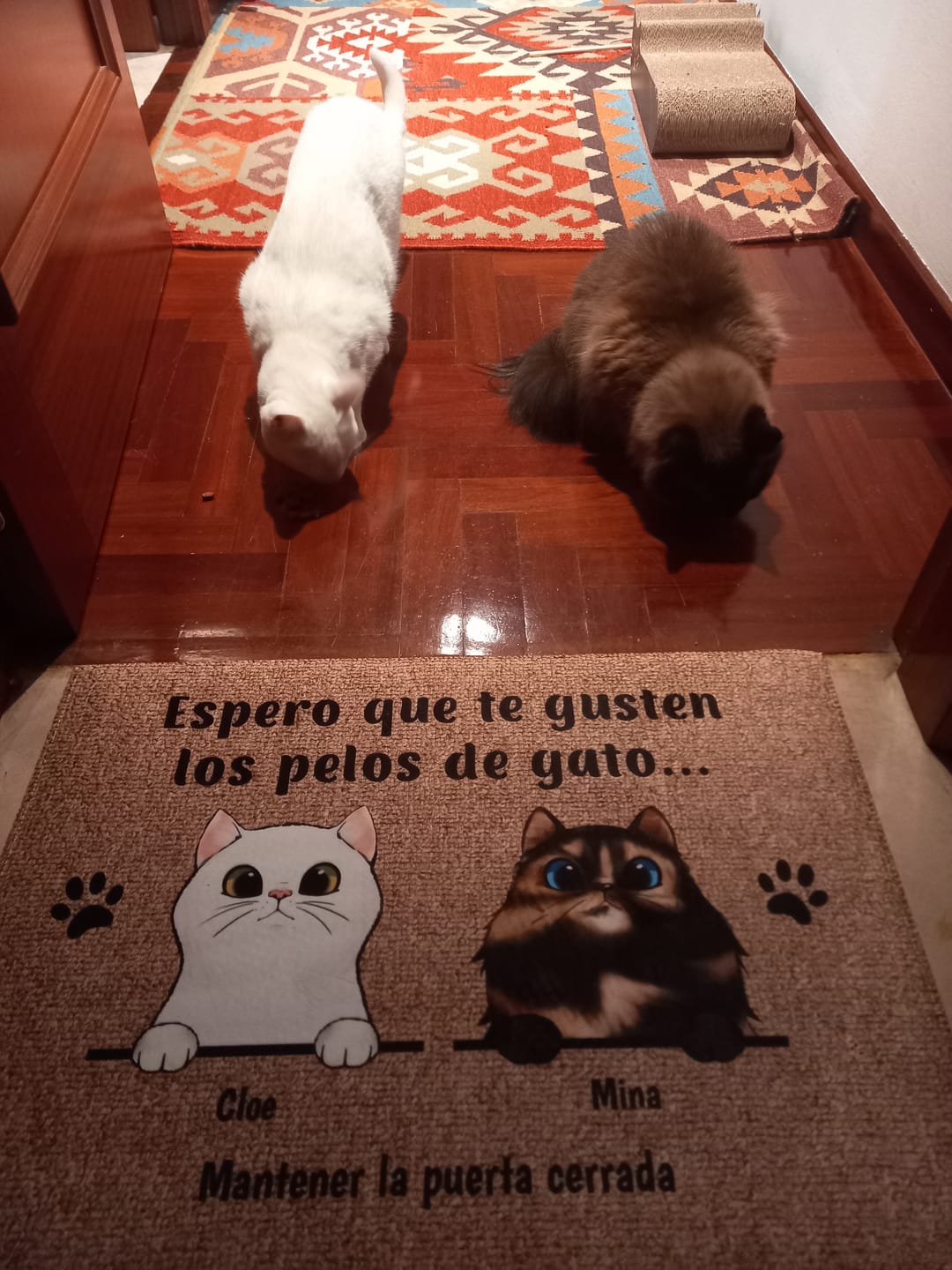 Customer photo review of Bienvenidos a lo de gatos curiosos - Felpudo personalizado