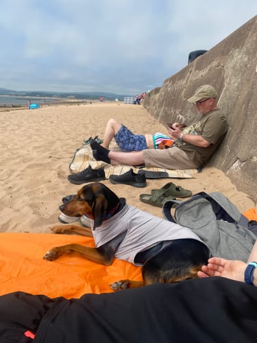 Customer photo review of Sunblock Dog T-Shirt - Grey